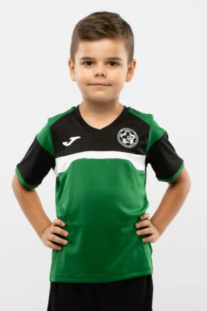 Koszulka Akademii Piłkarskiej Falubaz Zielona