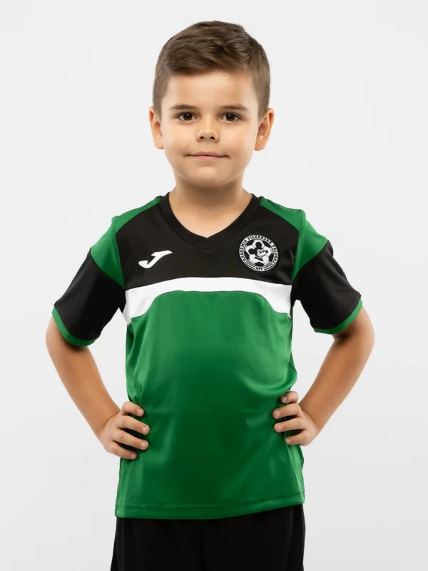 Koszulka Akademii Piłkarskiej Falubaz Zielona