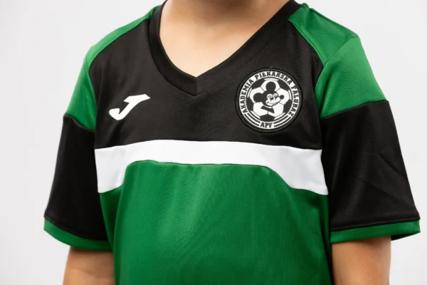 Zestaw Meczowy Akademia Piłkarska Falubaz Zielony